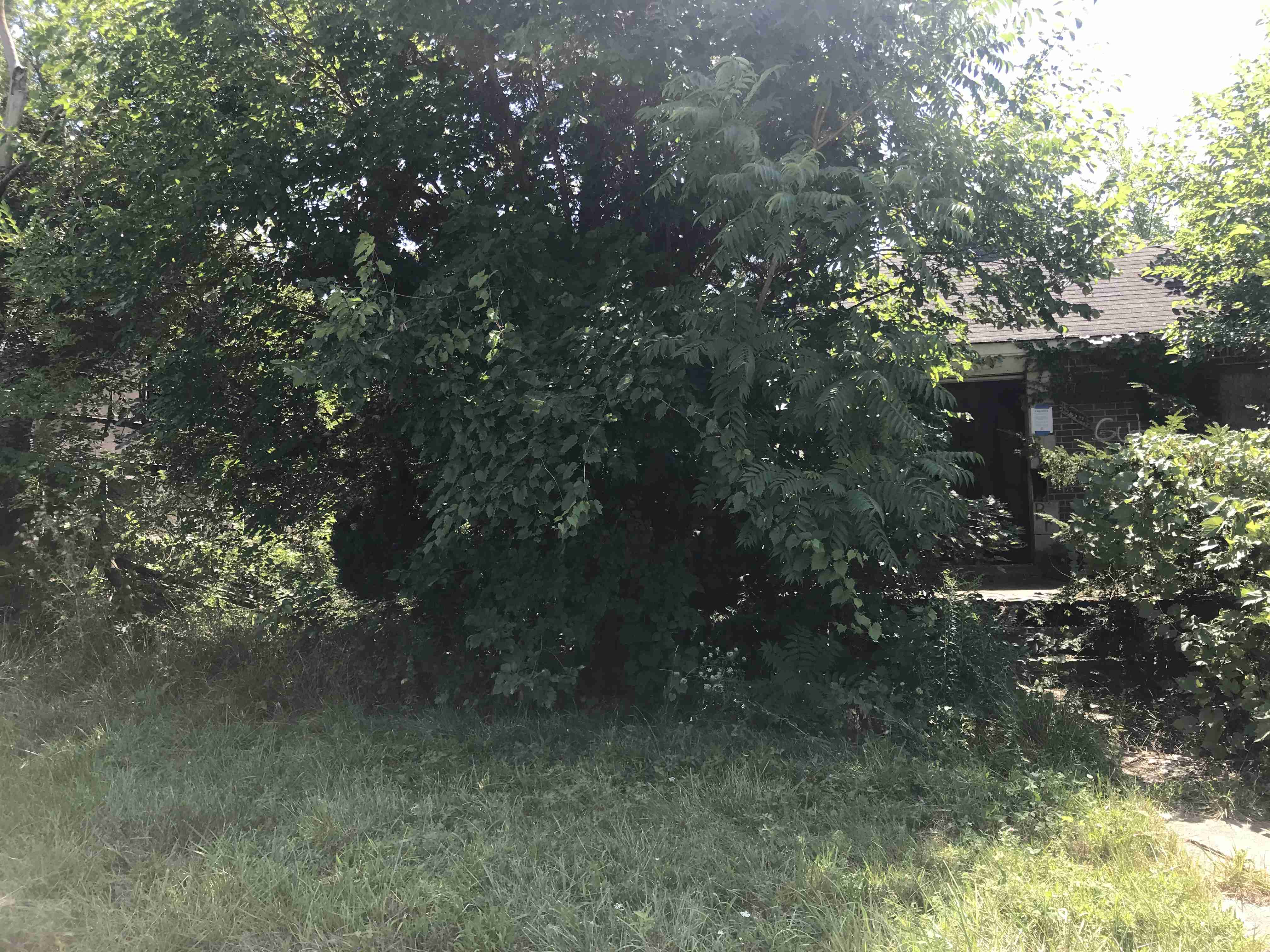 Photo Aug 21, 1 12 06 PM.jpg